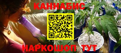 прущие крисы Новодвинск