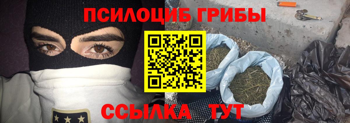 Псилоцибиновые грибы Psilocybine cubensis Урай